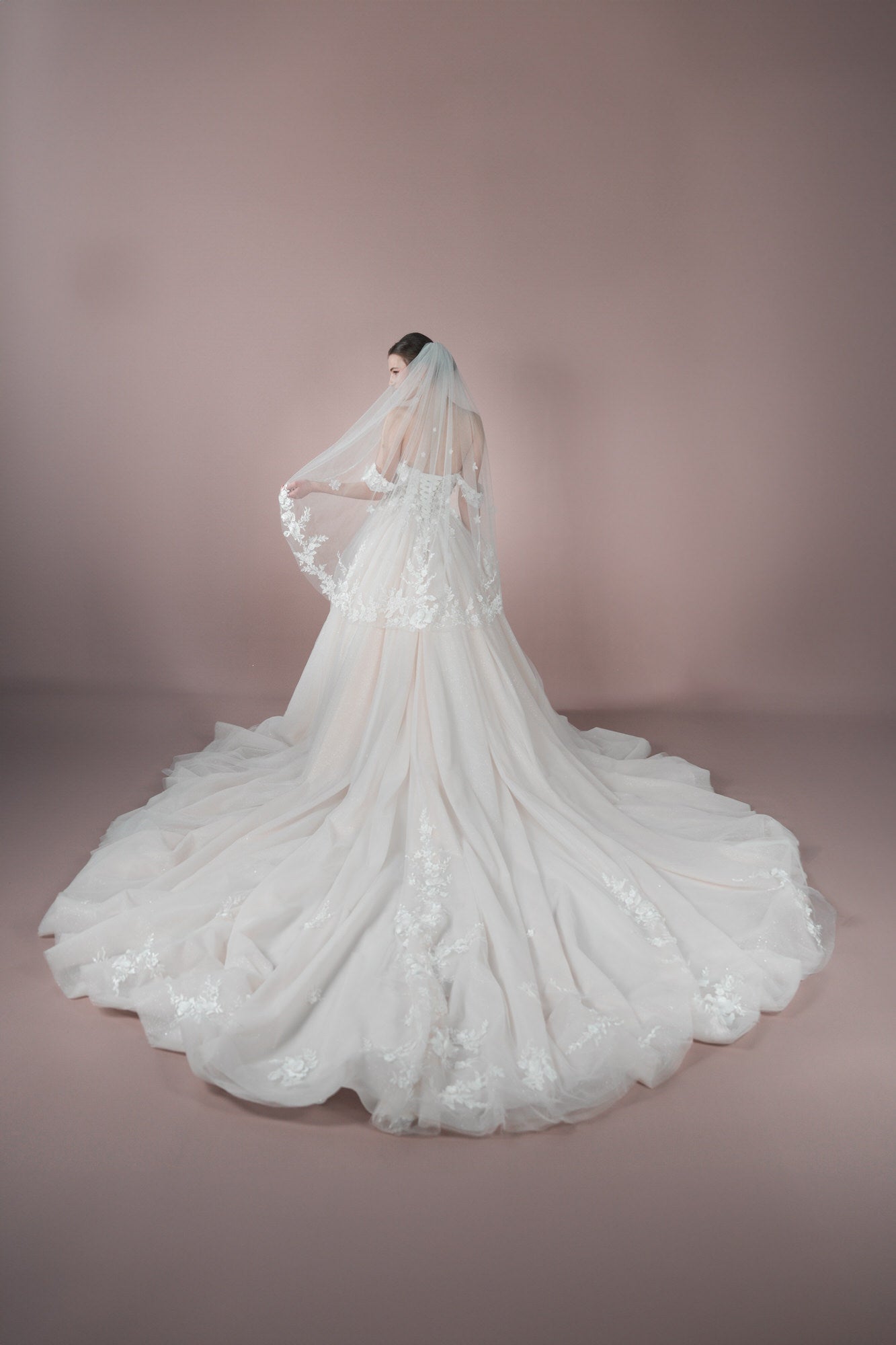 C23-09-V-1 - Bridonista