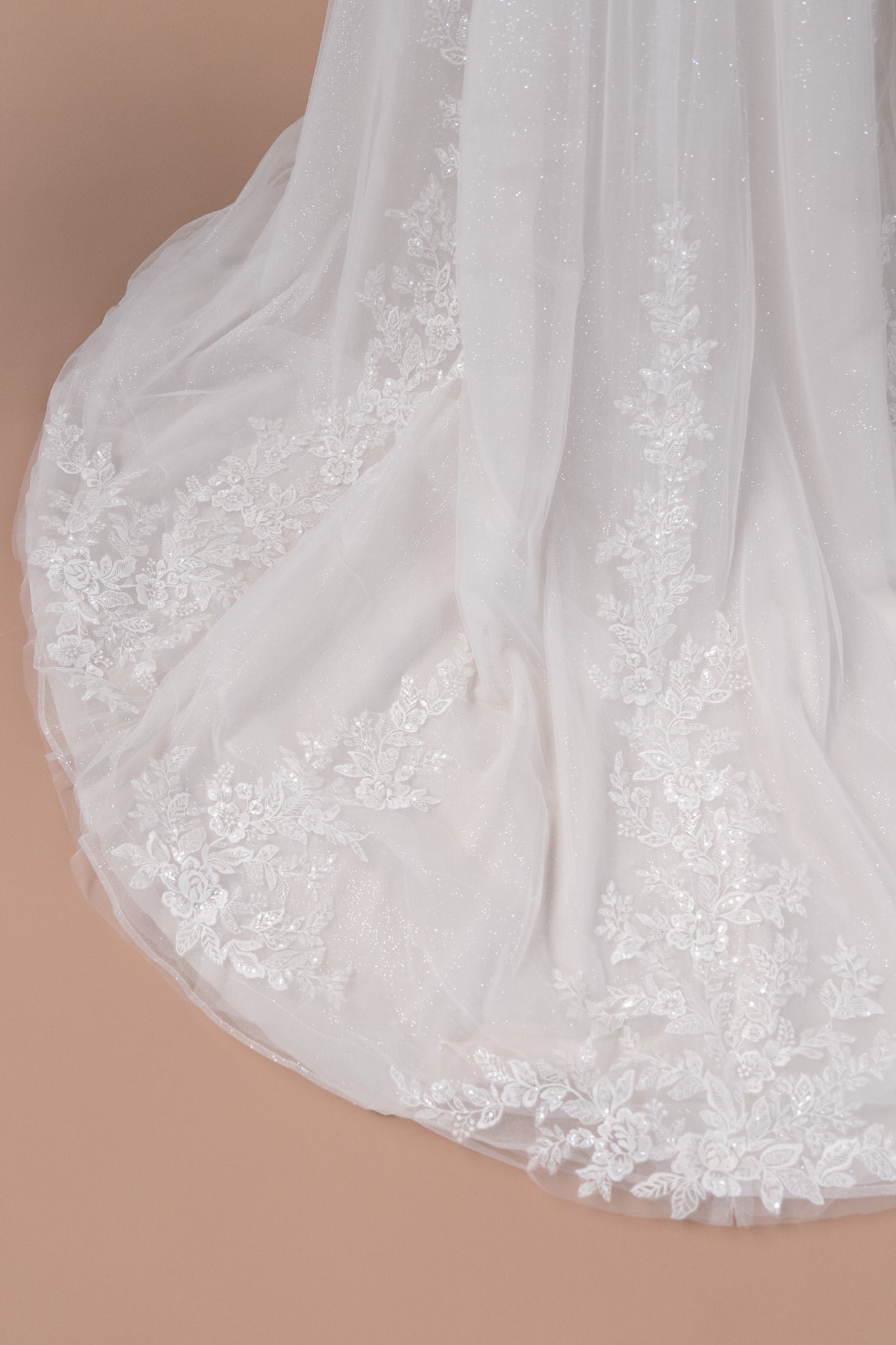 V25 - 31 - Bridonista