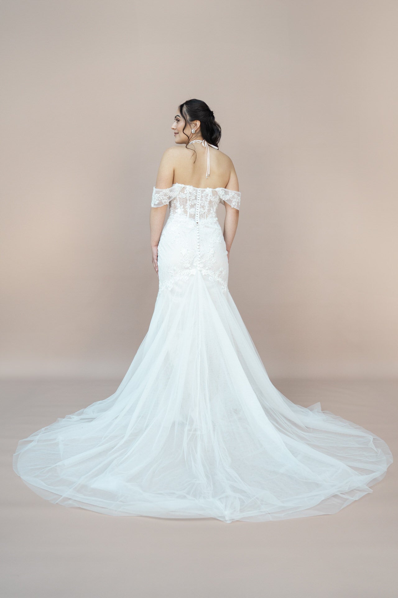 V26 - M01 - Bridonista