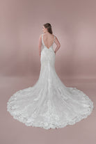 C23 - 15 - Bridonista