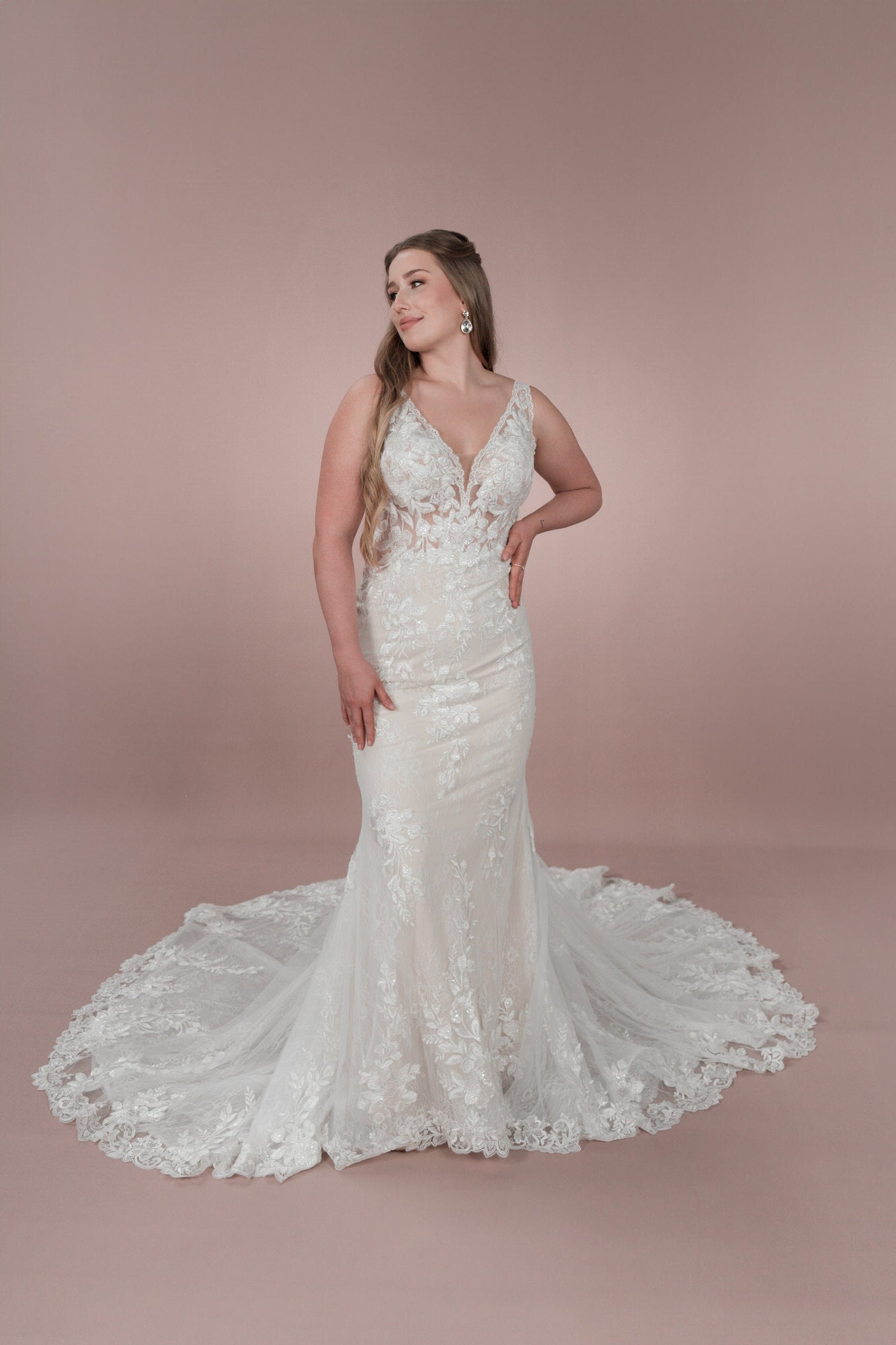 C23 - 15 - Bridonista