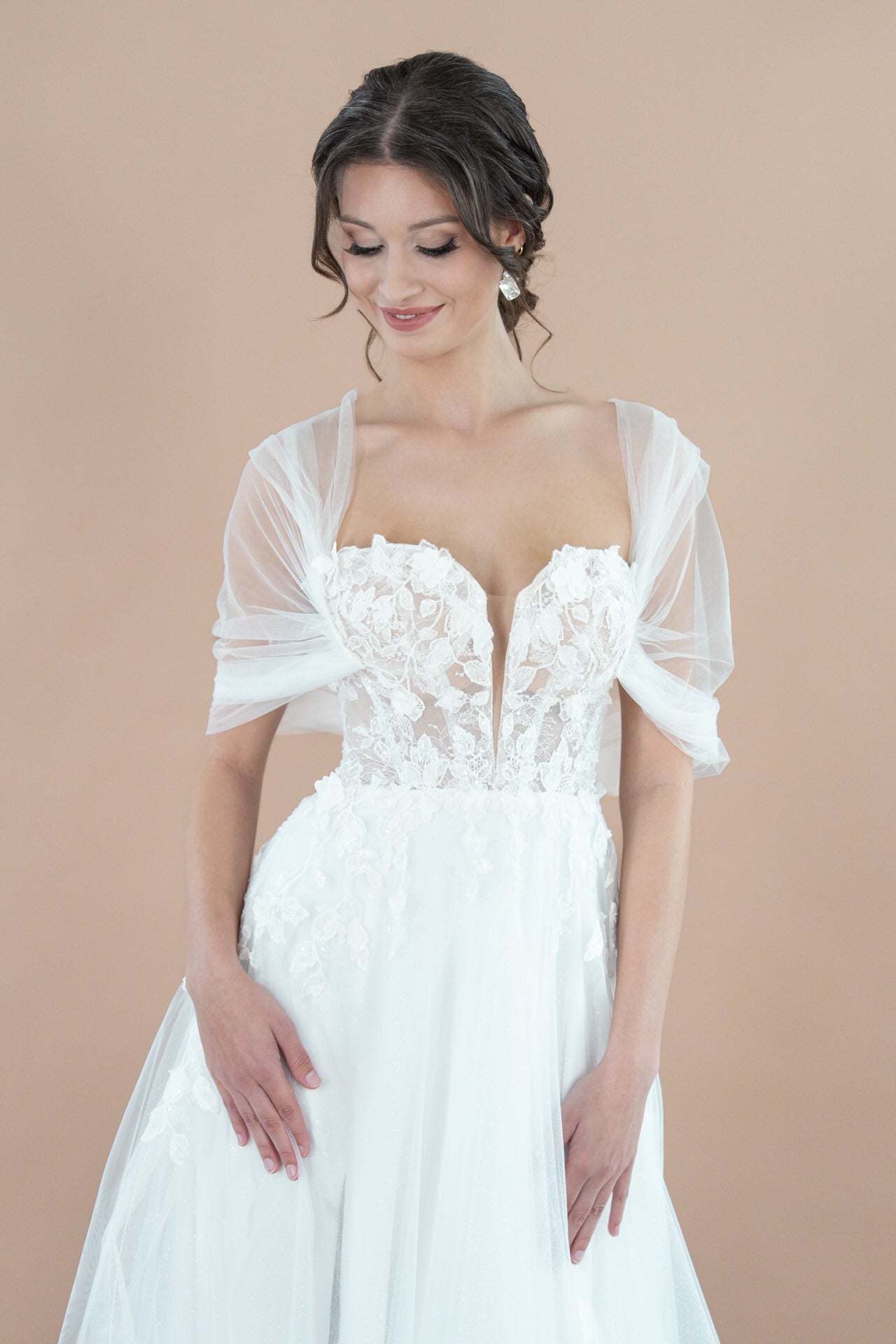 R2L26 - C - A22 - Bridonista