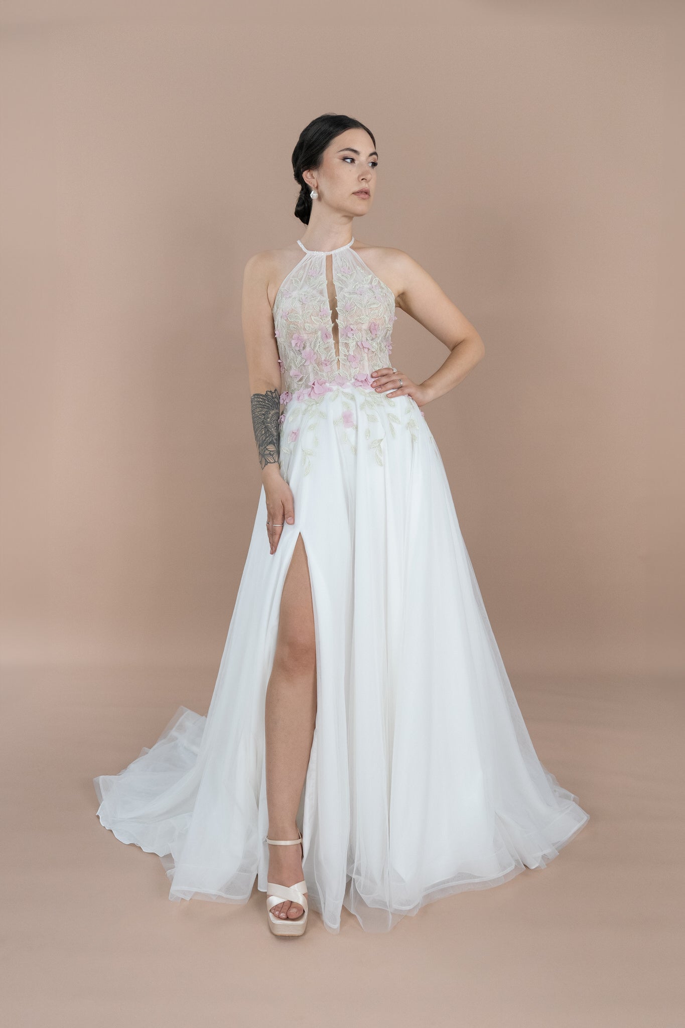 V25 - 22 - Bridonista