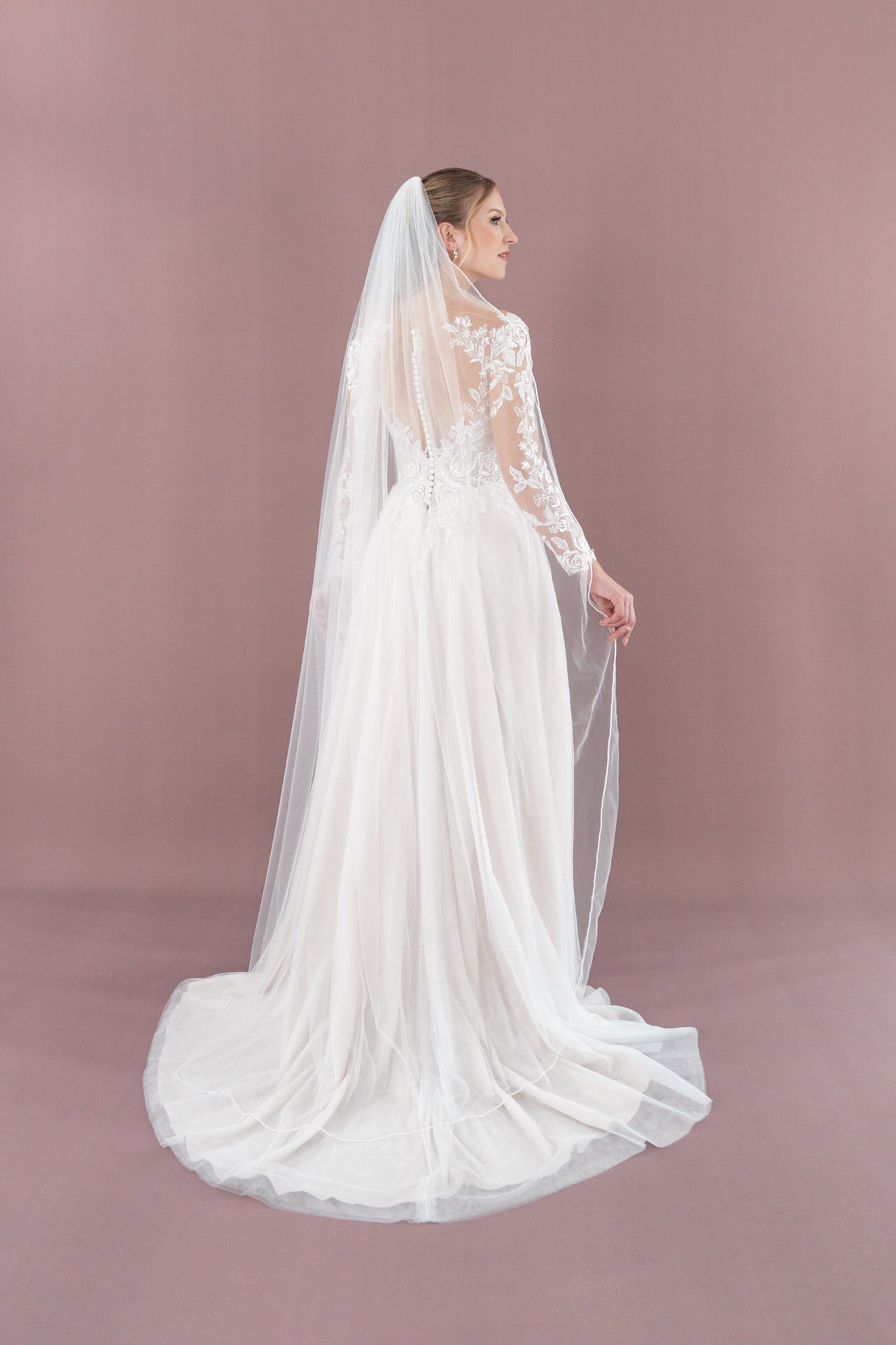 V26 - A17 - Bridonista