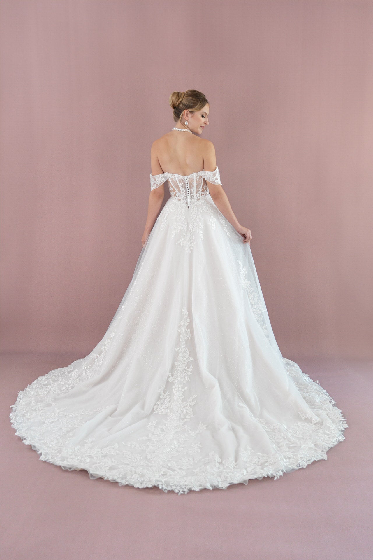 V26 - B01 - Bridonista