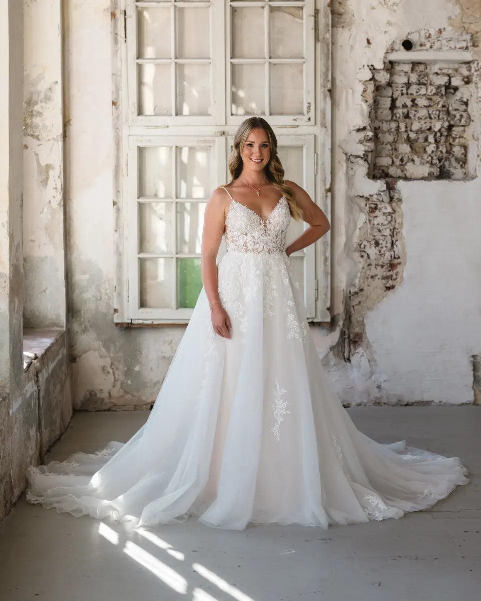 BG23-04 - Bridonista